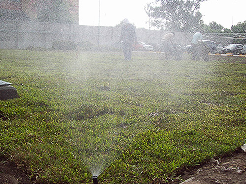 Jardín Urbano - Imágen de gelería